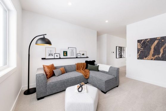 154-338-Taube-2023-1024x683