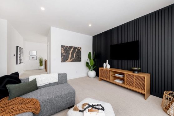 155-338-Taube-2023-1024x683