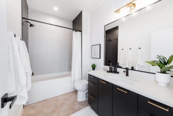 157-338-Taube-2023-1024x683