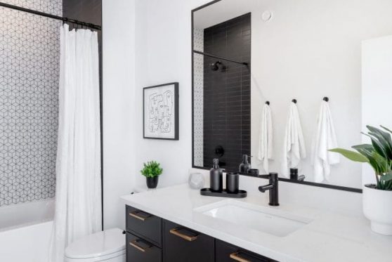 158-338-Taube-2023-683x1024