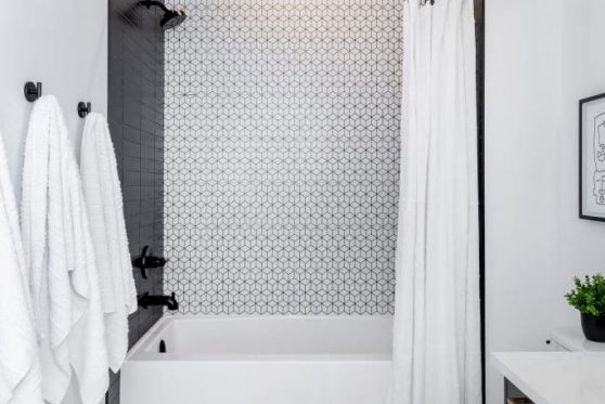 159-338-Taube-2023-683x1024