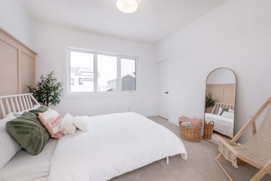 160-338-Taube-2023-1024x683