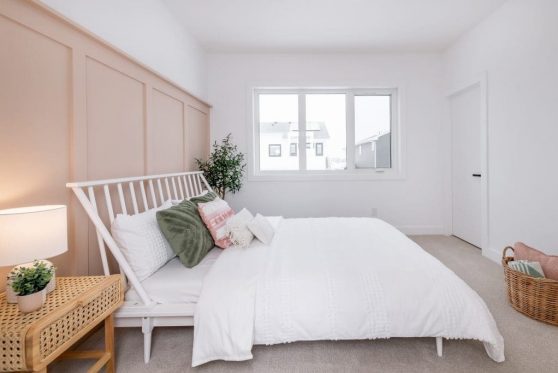 161-338-Taube-2023-1024x683