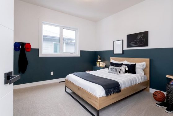 165-338-Taube-2023-1024x683