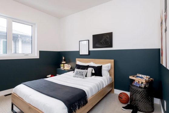 166-338-Taube-2023-1024x683