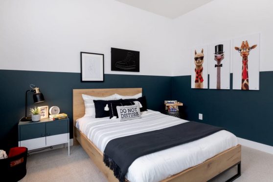 167-338-Taube-2023-1024x683