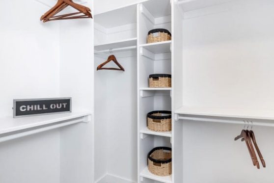 168-338-Taube-2023-683x1024