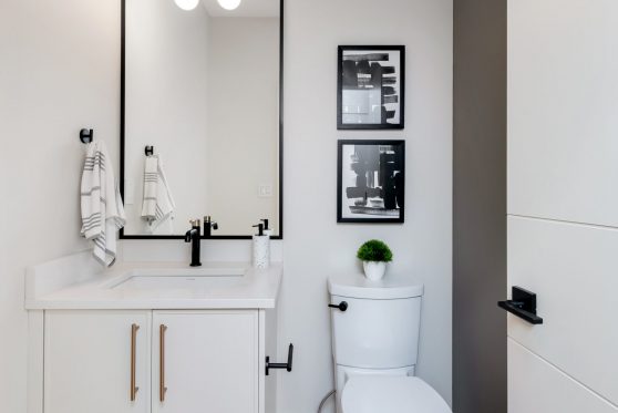 COPYRIGHTED BY D&M IMAGES