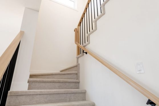 COPYRIGHTED BY D&M IMAGES