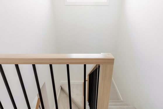 COPYRIGHTED BY D&M IMAGES