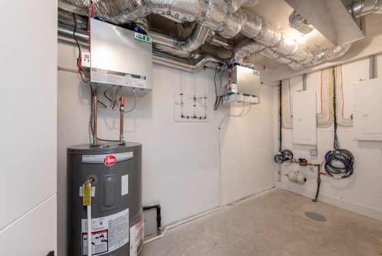 COPYRIGHTED BY D&M IMAGES